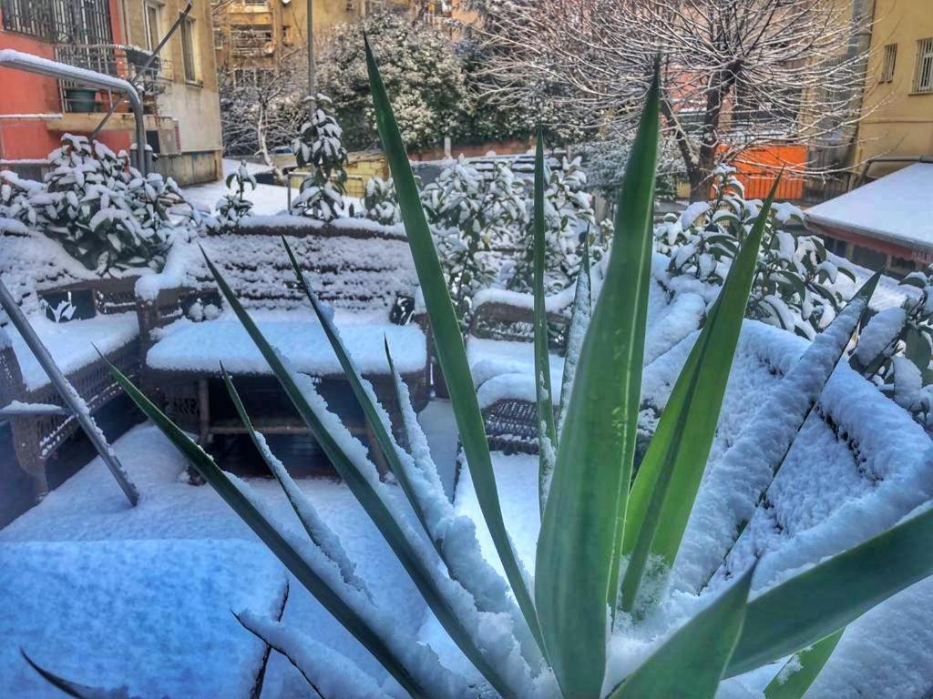 Hotel Kadikoy *
