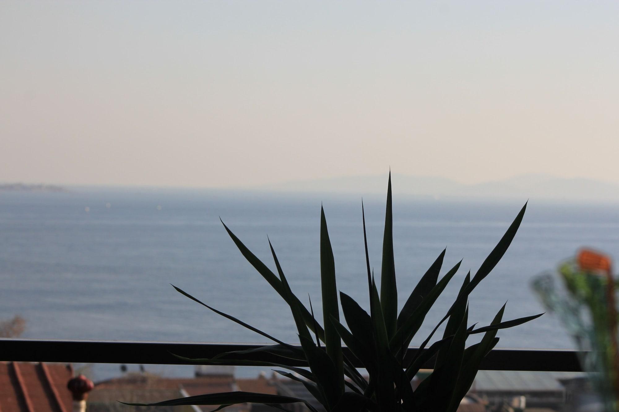 Otel Nayla Palace 2*