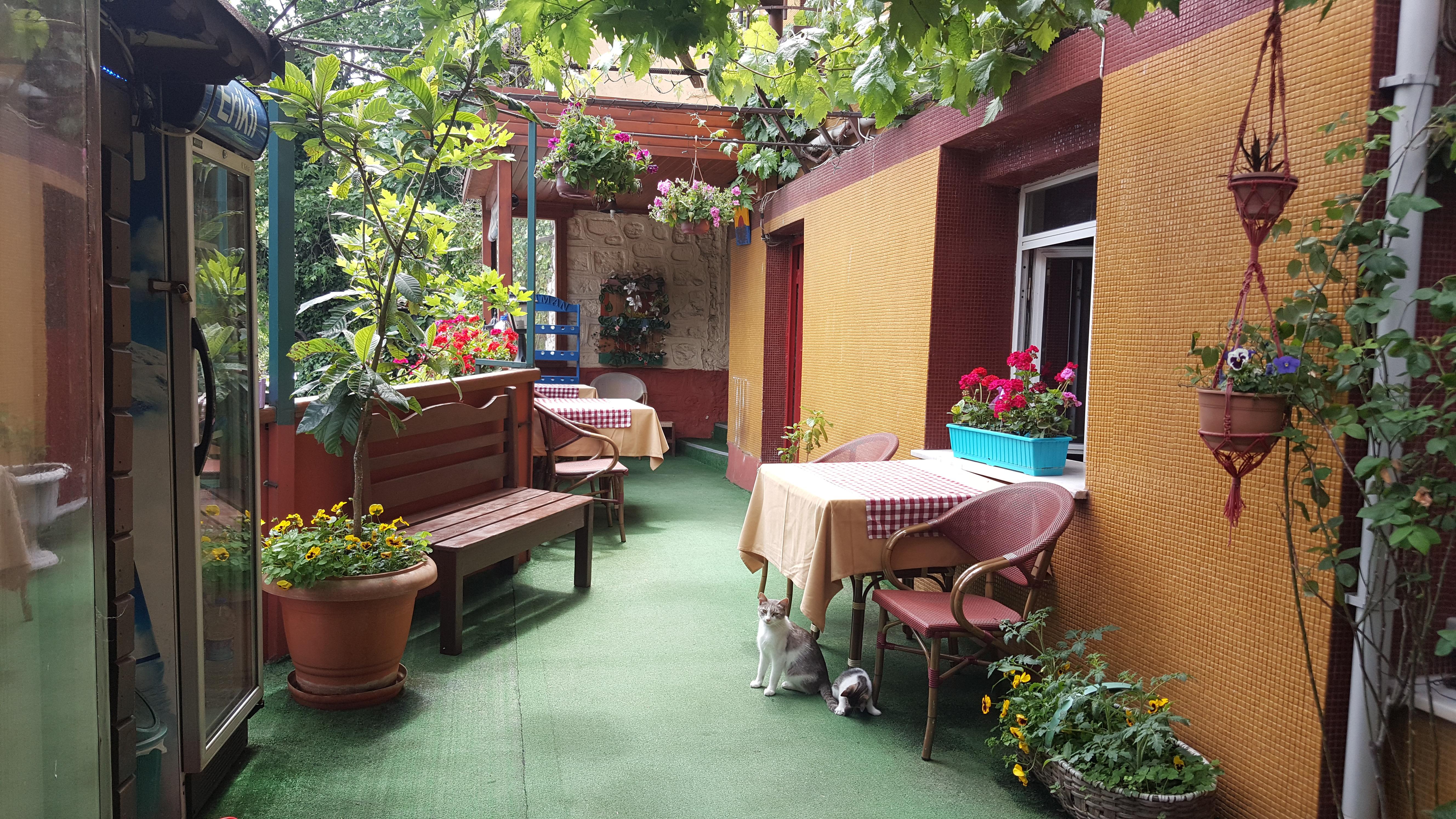 Anadolu Bed & Breakfast 3*