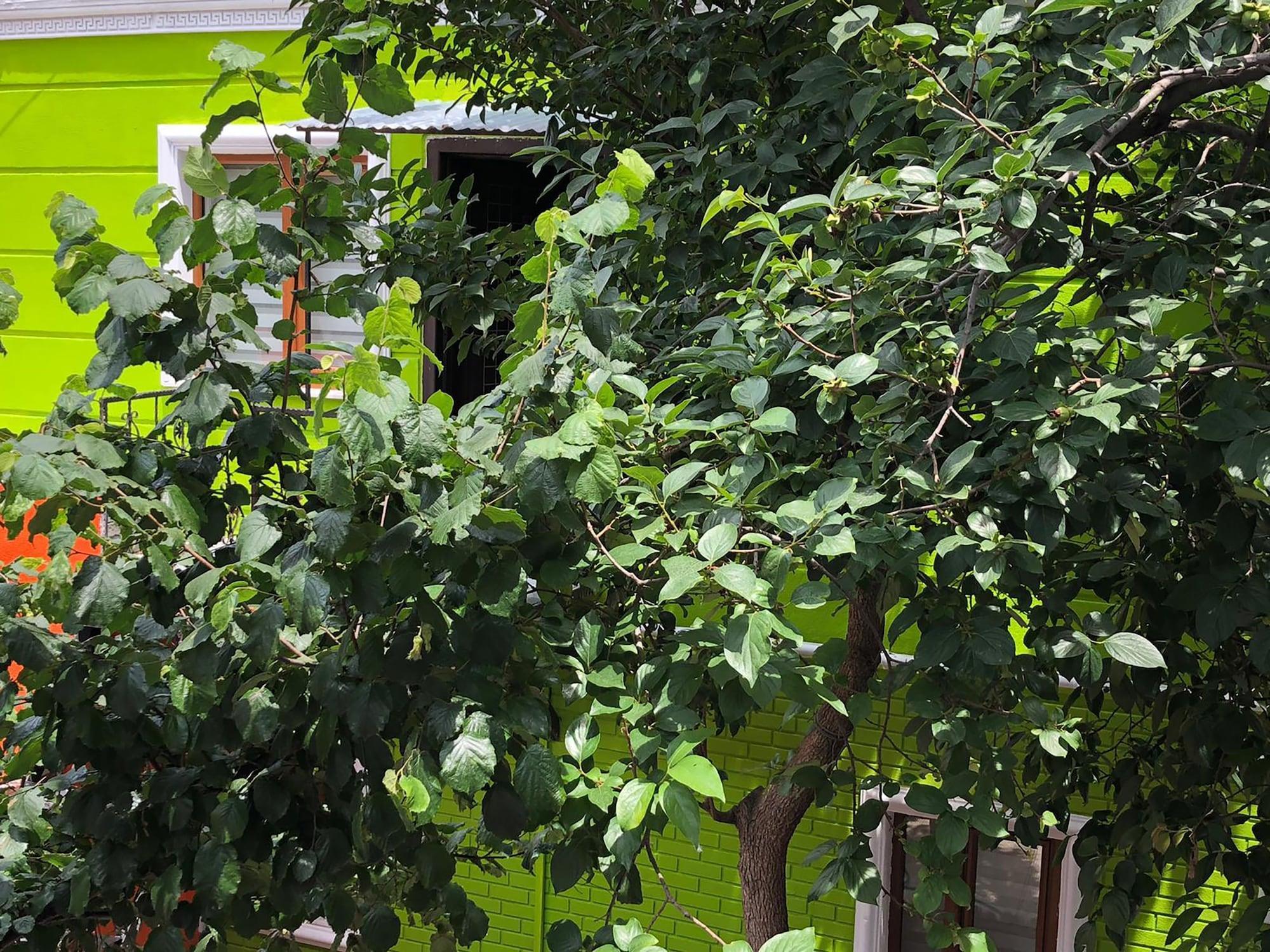The Zanadu Hotel
