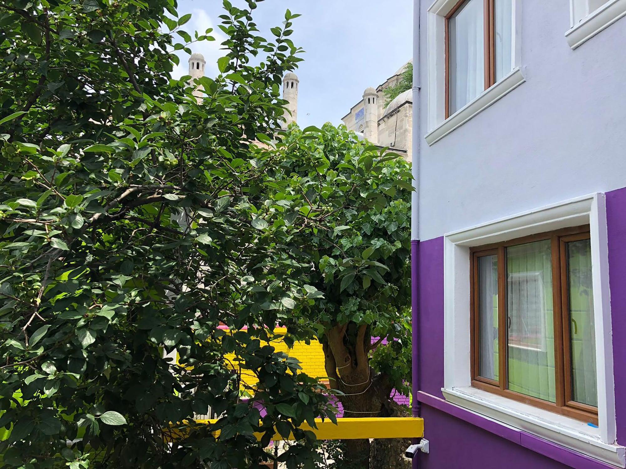 The Zanadu Hotel 3*
