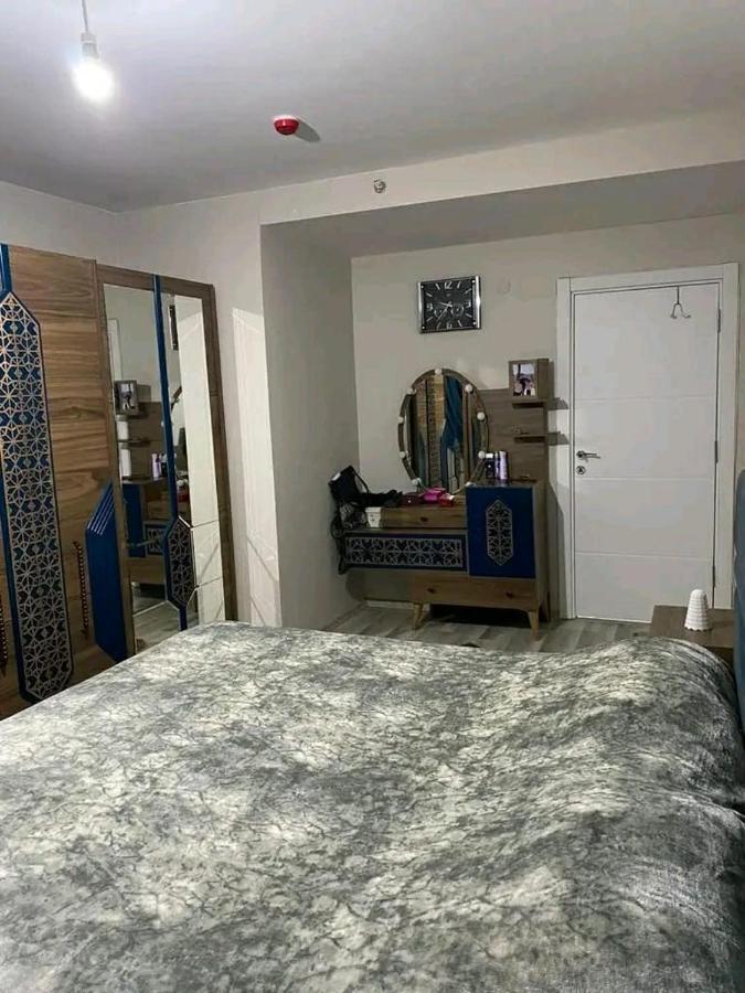 Steven Orion Park Apartment