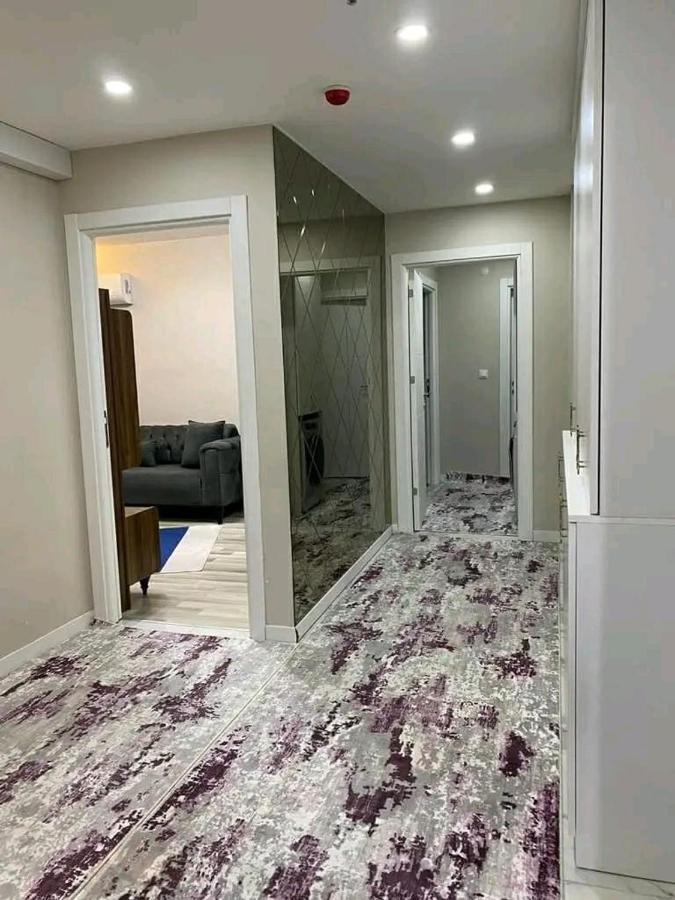 Steven Orion Park Apartment *