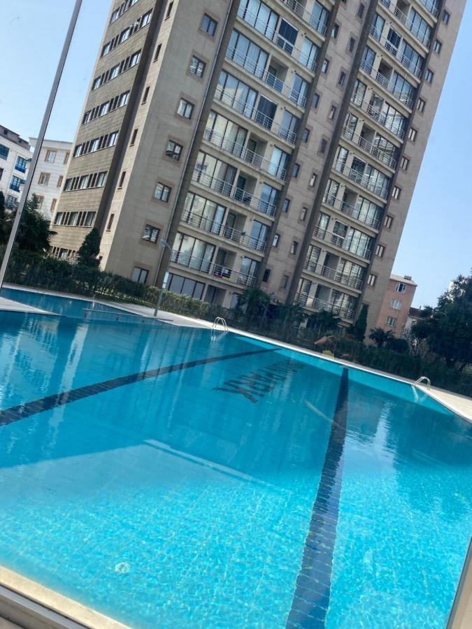 Steven Orion Park Apartment *