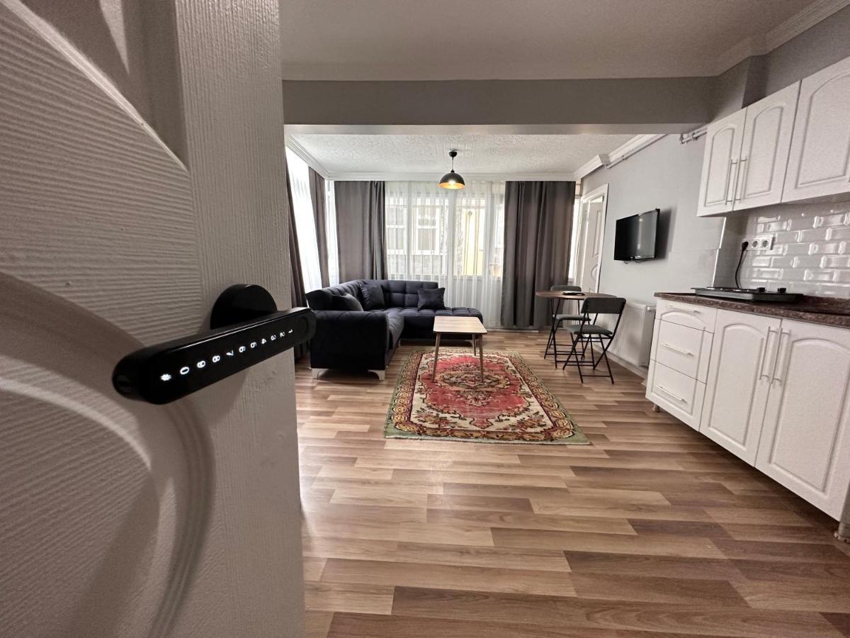 Modern Apart Close To Blue Mosque And Hagia Sophia Old Daire *