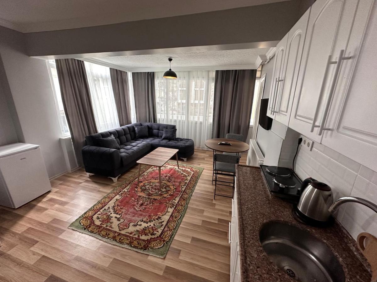 Modern Apart Close To Blue Mosque And Hagia Sophia Old Daire *