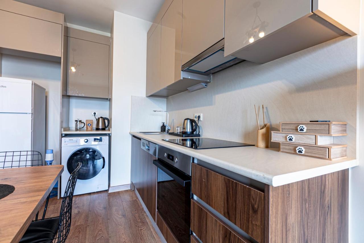Lux Furnished Modern Apartment