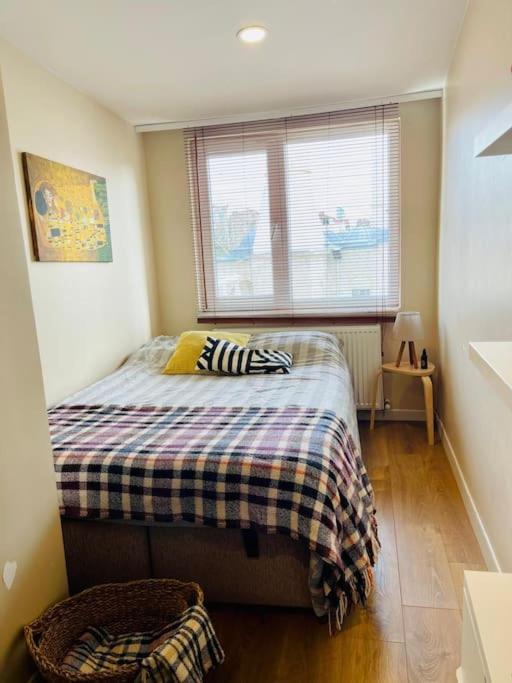 Terrace Flat In The Kadikoy Center Istanbul