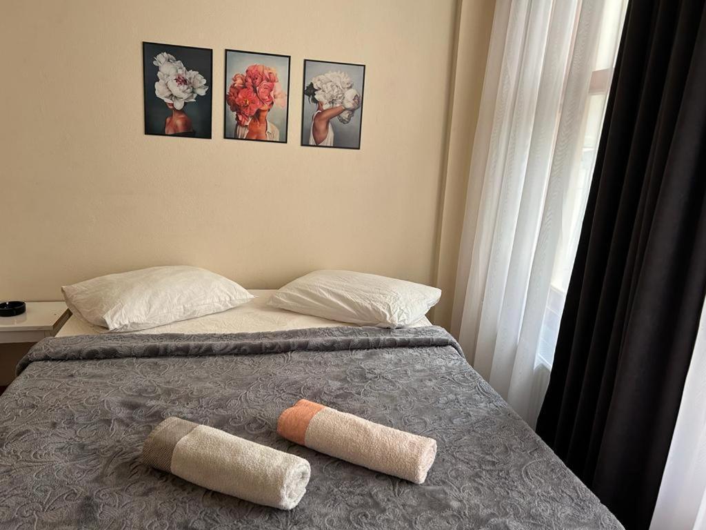 Avci Hostel