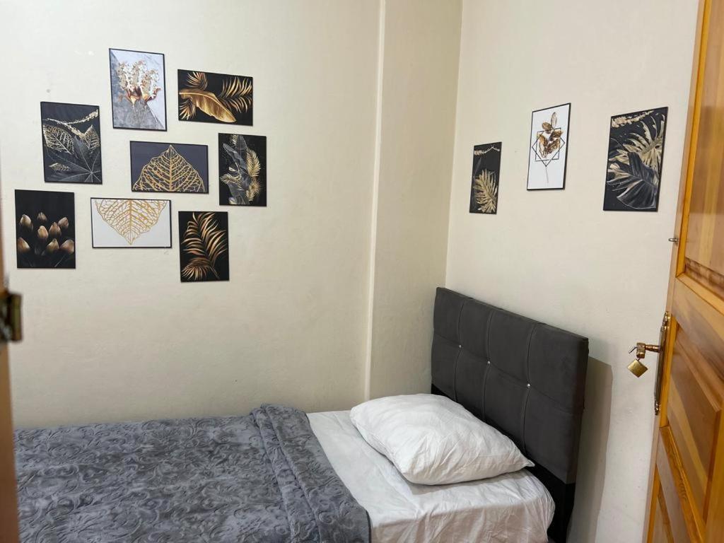 Avci Hostel *