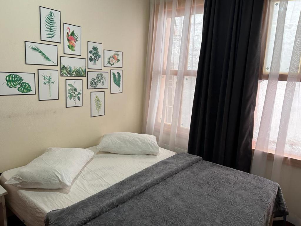 Hostel Avci *