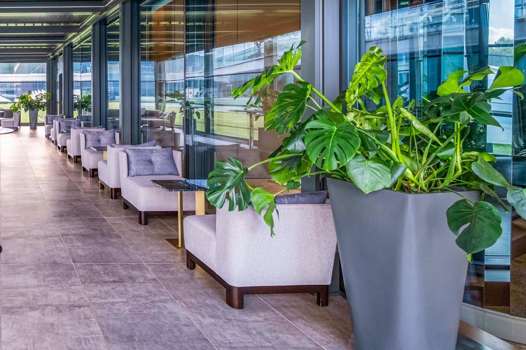 Radisson Collection Hotel, Vadistanbul 5* Istambul