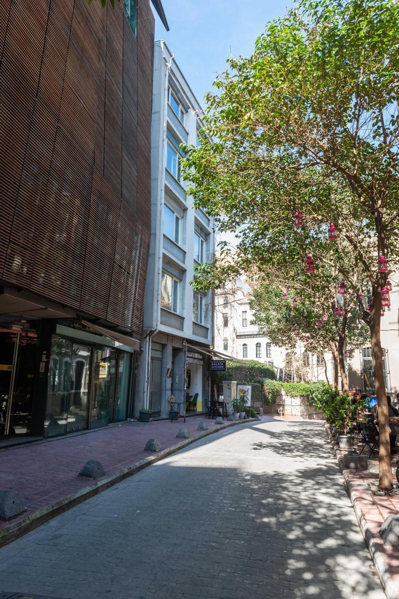 Mayer Galata *