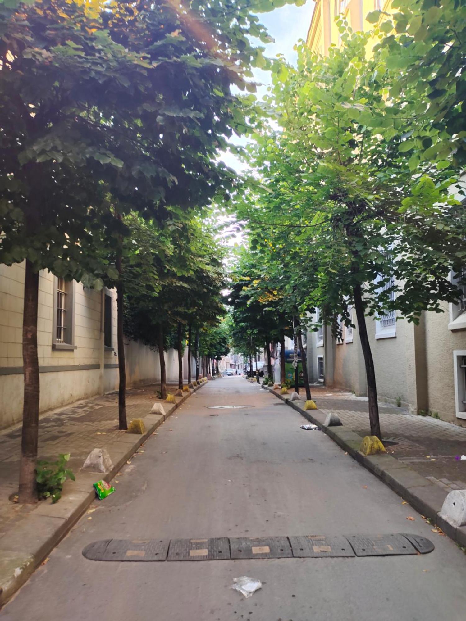 2br And 2bath Garden Pat Near To Nisantasi And Taksim #1 * Istanbul