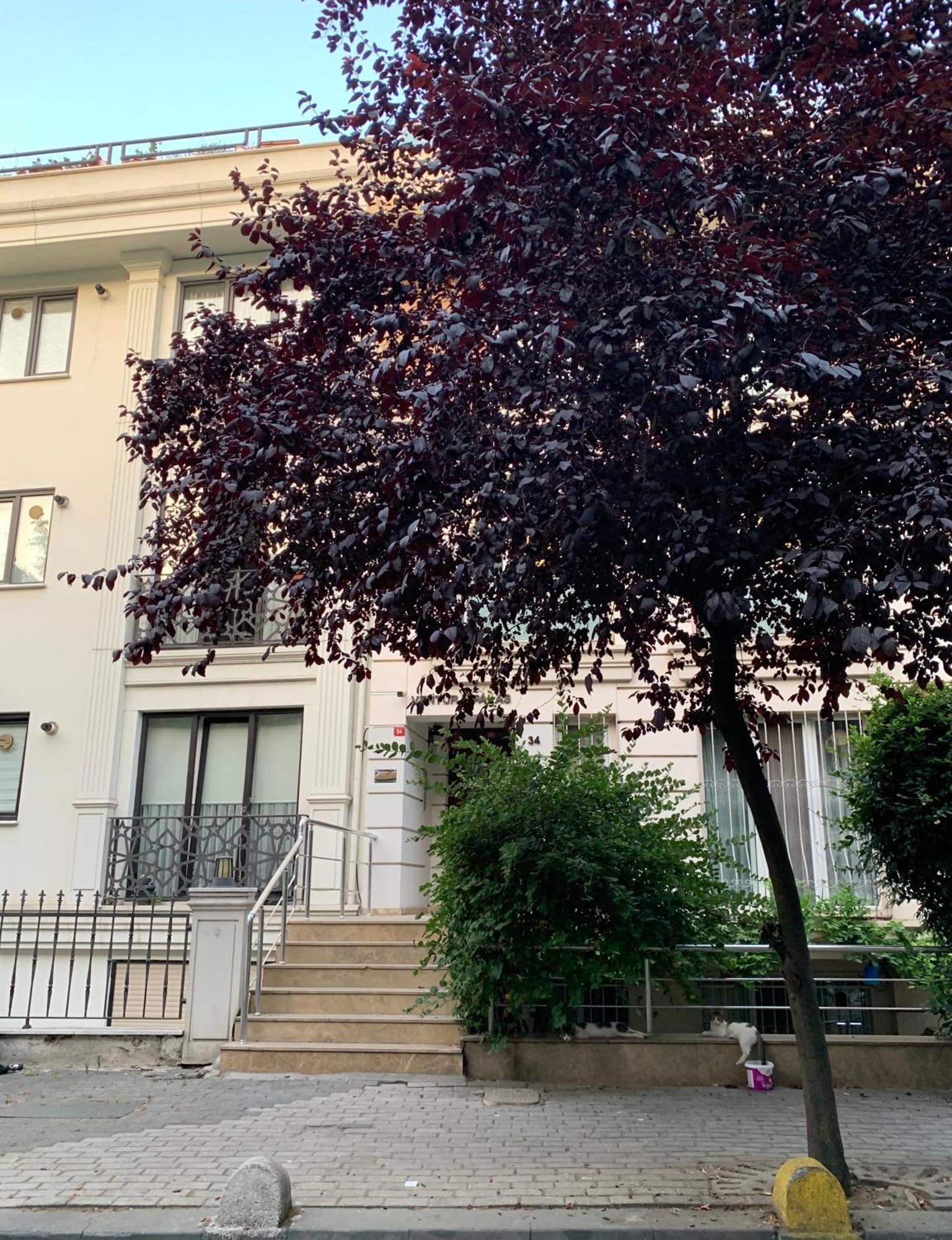 Kaplan Luxury Family Flat - 3 Bedrooms With Air Conditioning & Heating In The Daire İstanbul