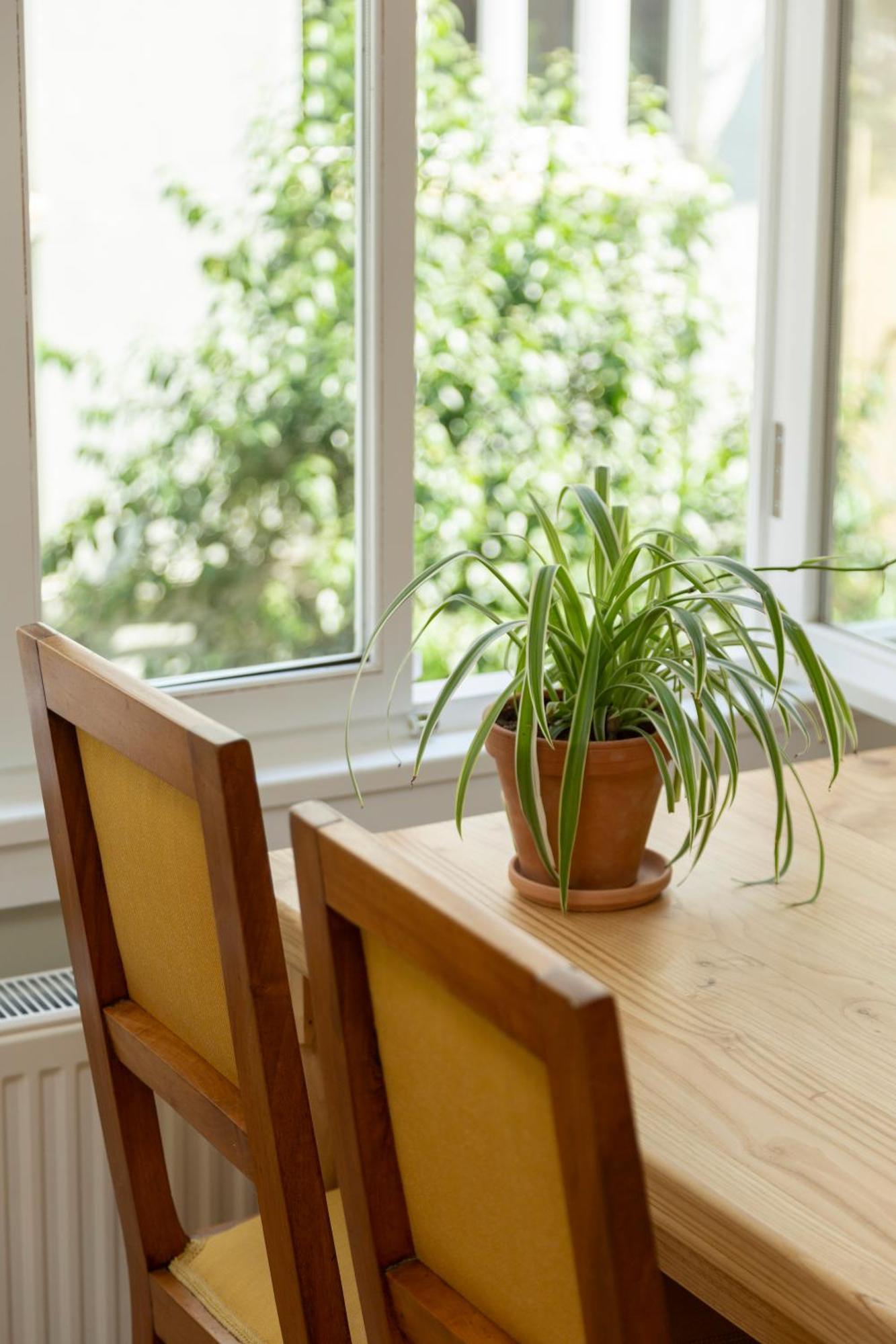 Lemon Apartment Istanbul