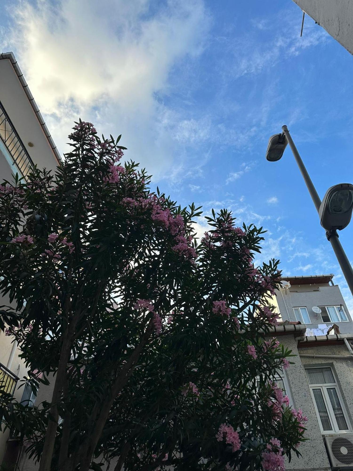 Vip Ortakoy Aparthotel *