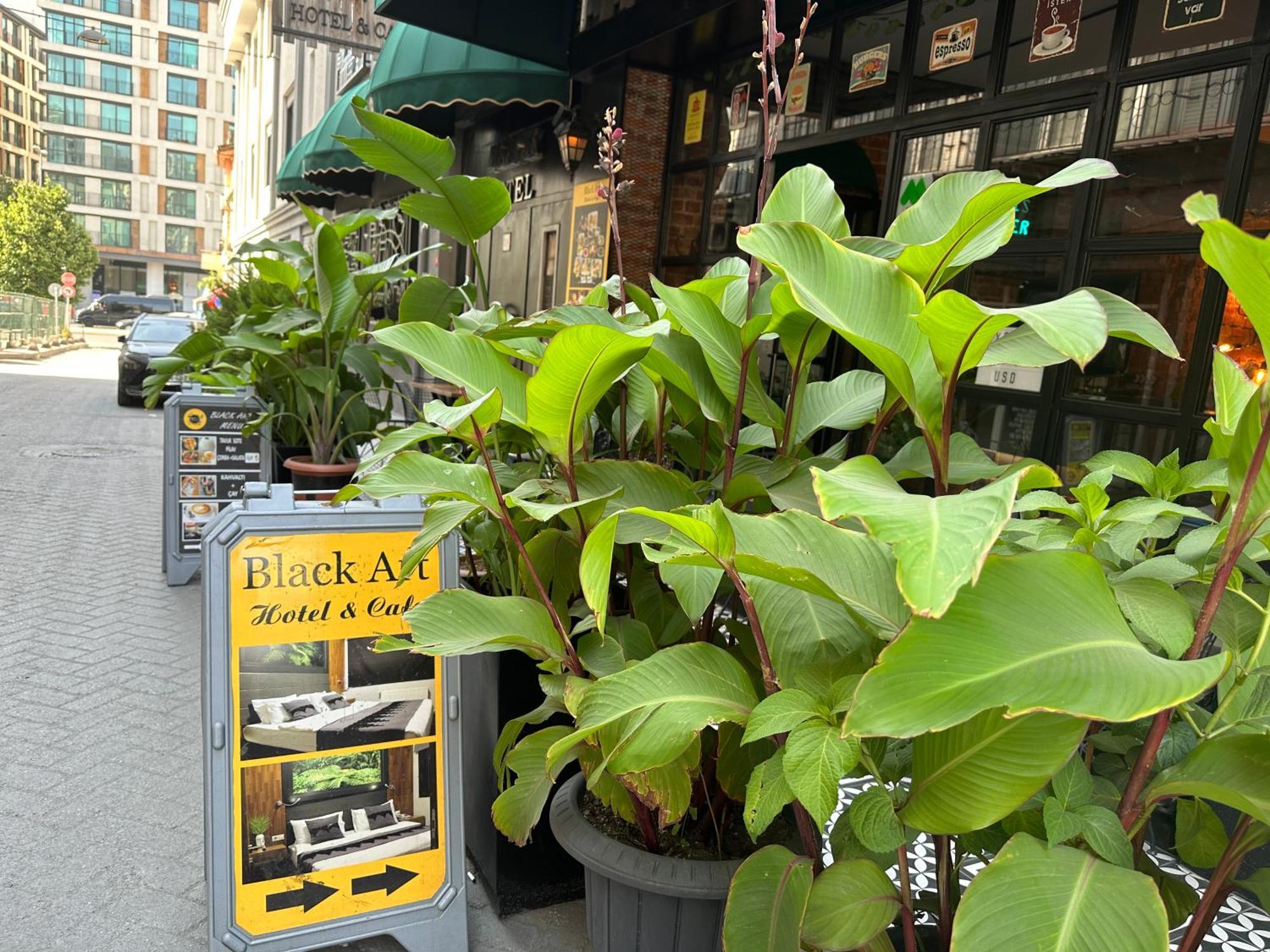 Black Art Hotel *