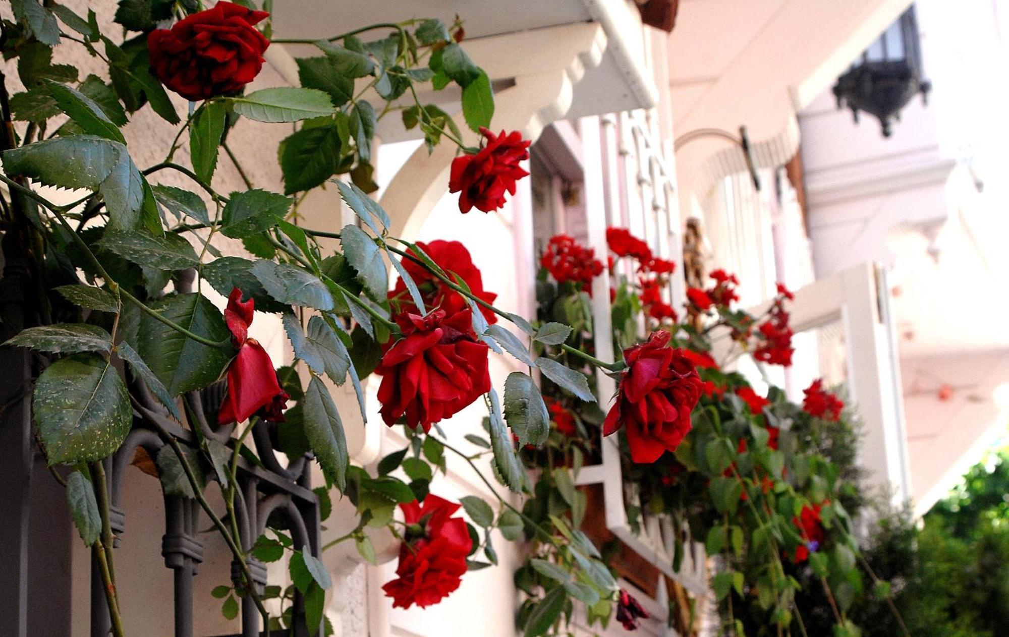 Hotel Darussaade Old - Sultanahmet