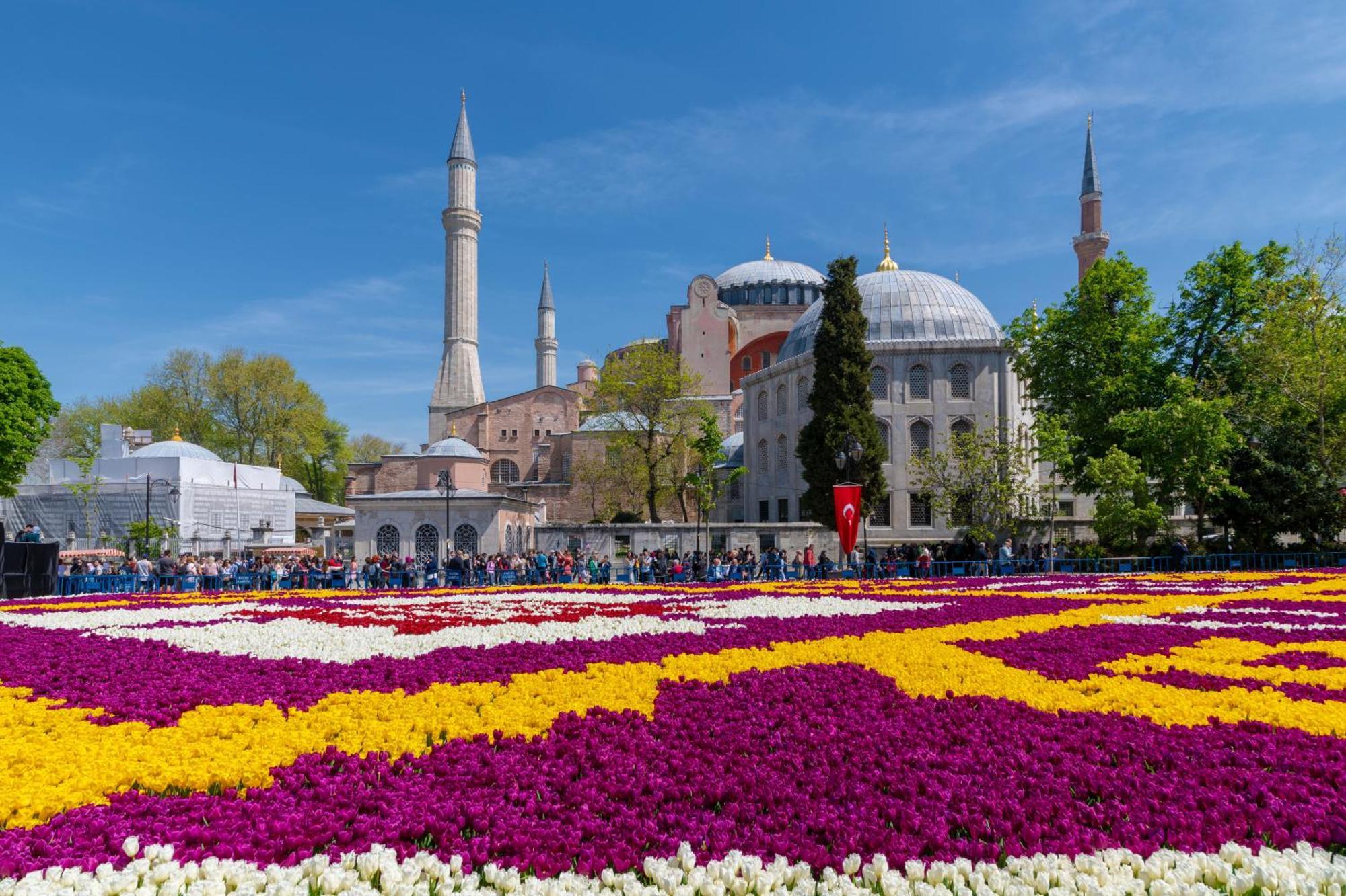 Tulip & 4* Istambul