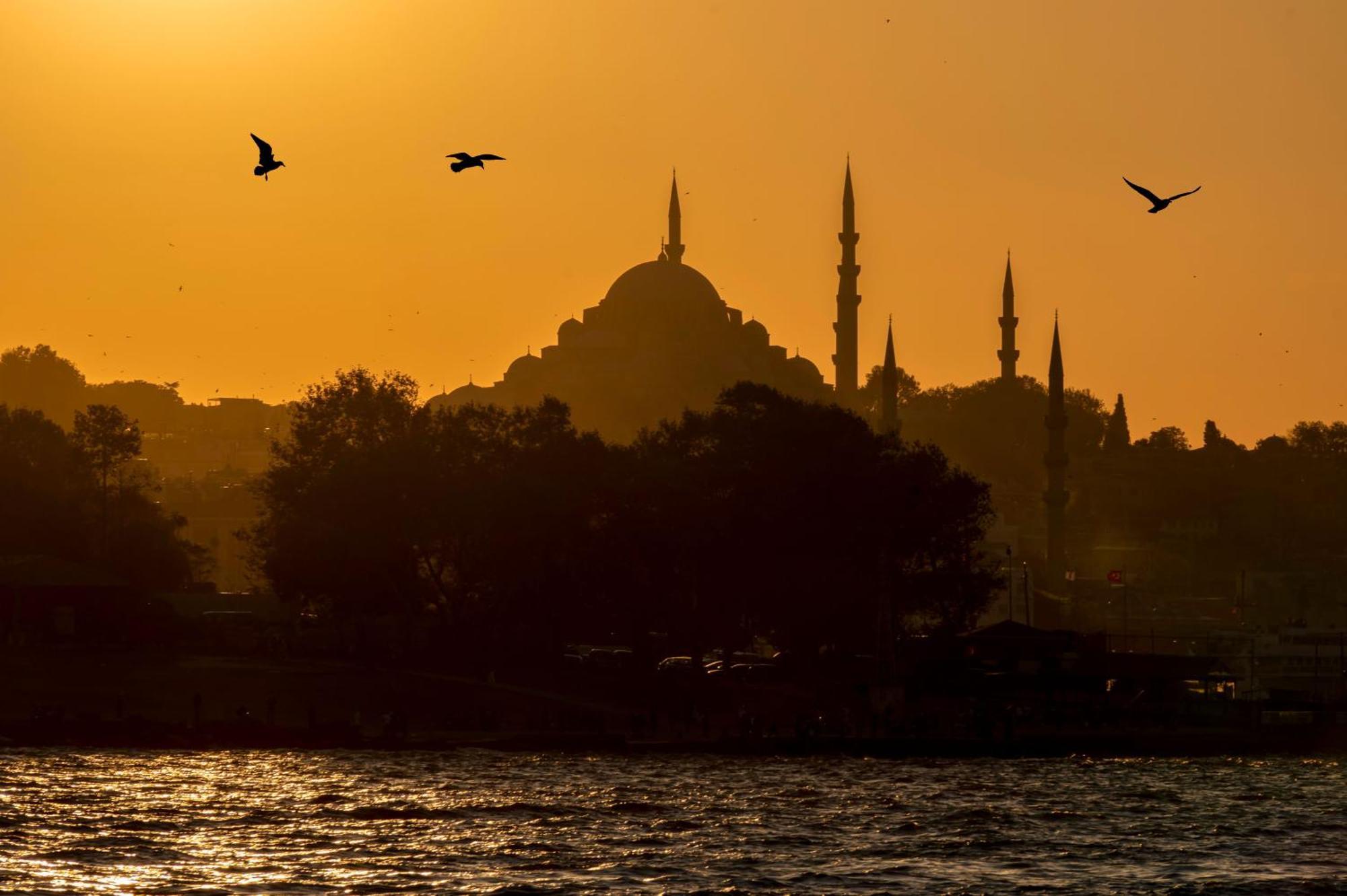 Hotel Tulip & Istambul