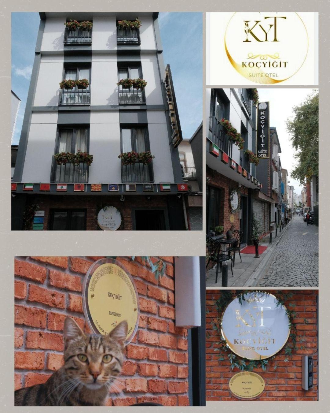 Kocyigit &