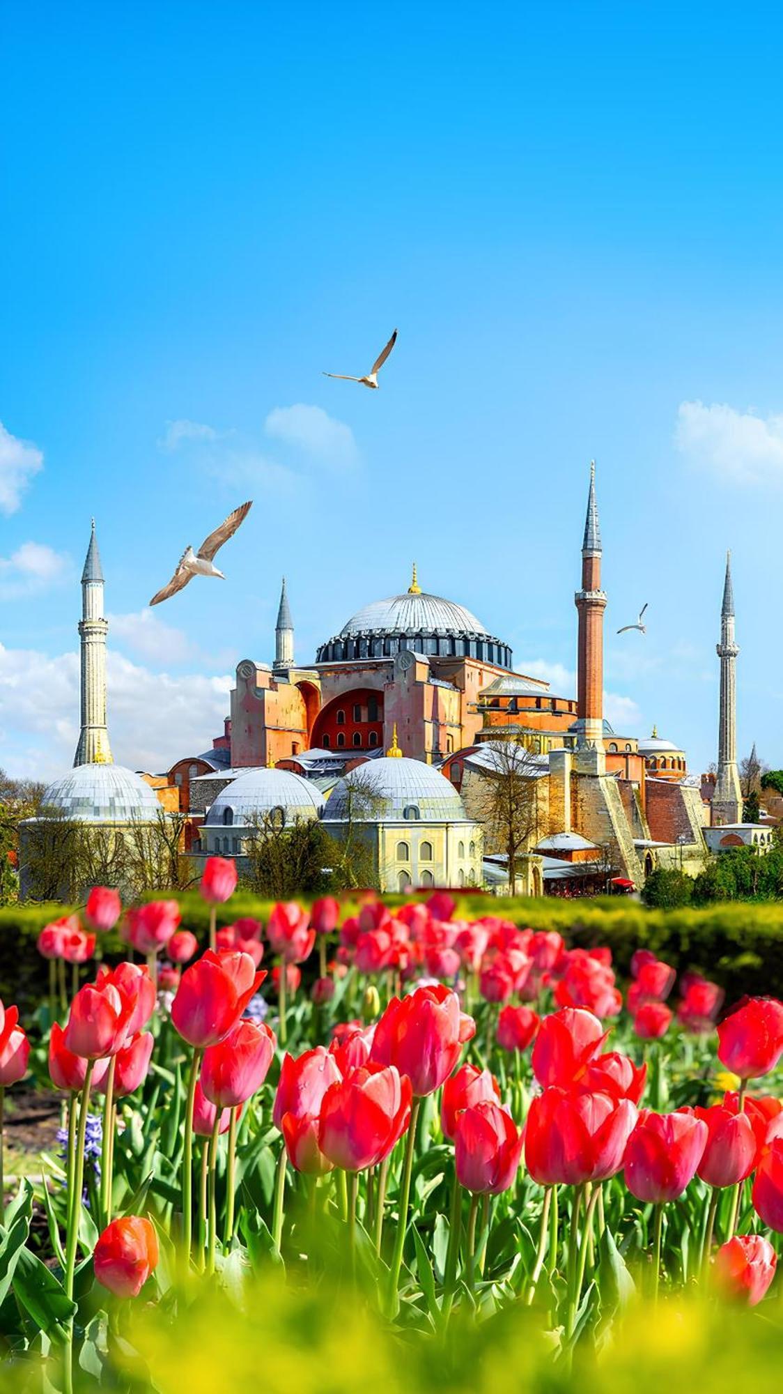 Myra Sea Sultanahmet * Istanbul