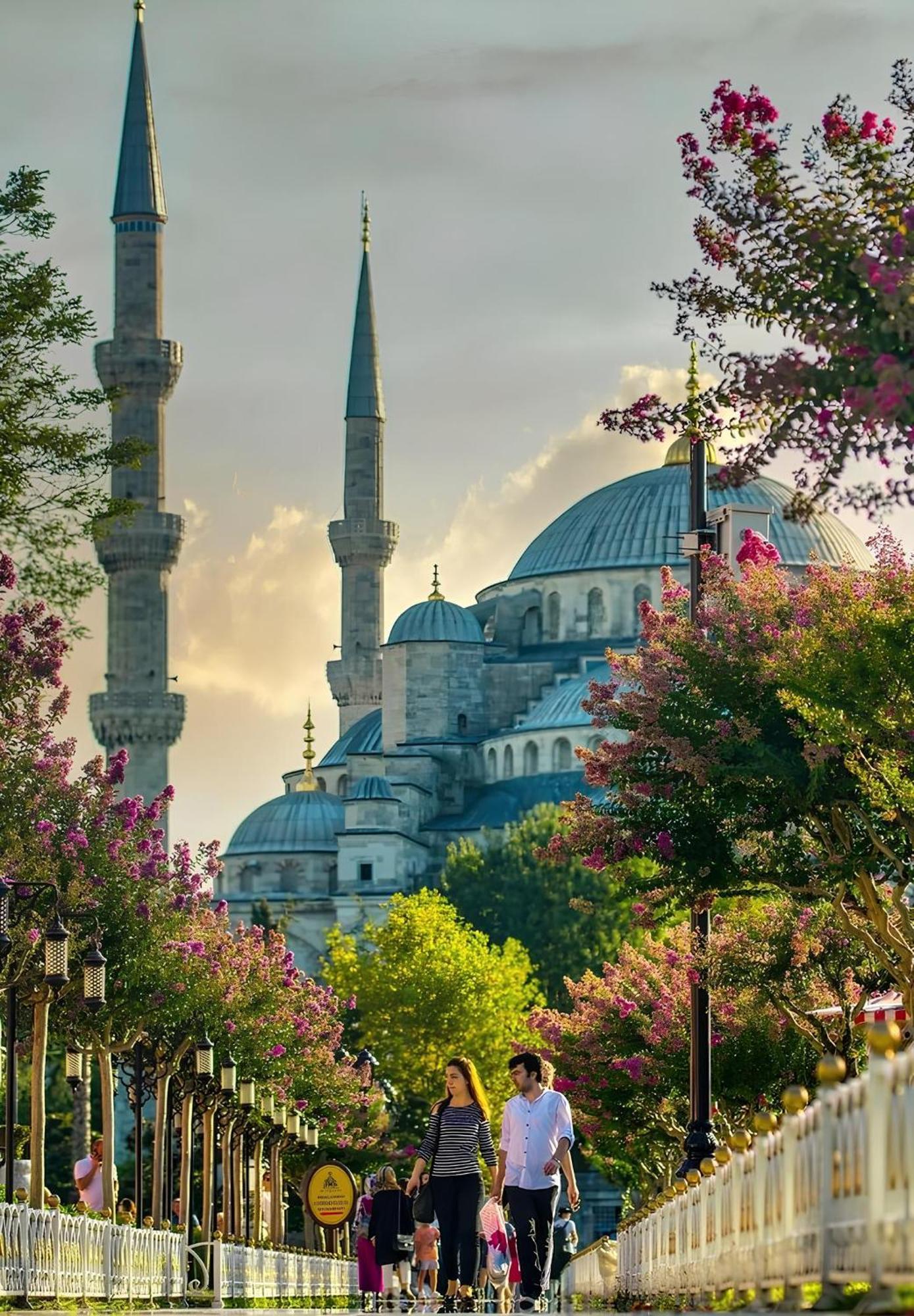 Myra Sea Sultanahmet Istanbul