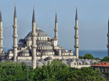 Hali Istanbul
