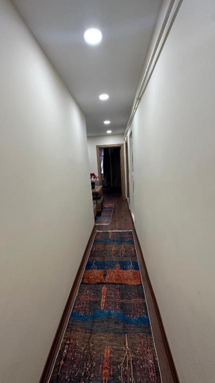 Apartment Albatros *