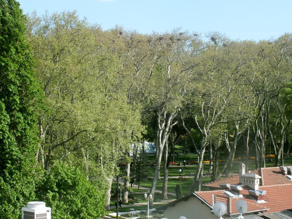 Old Panorama
