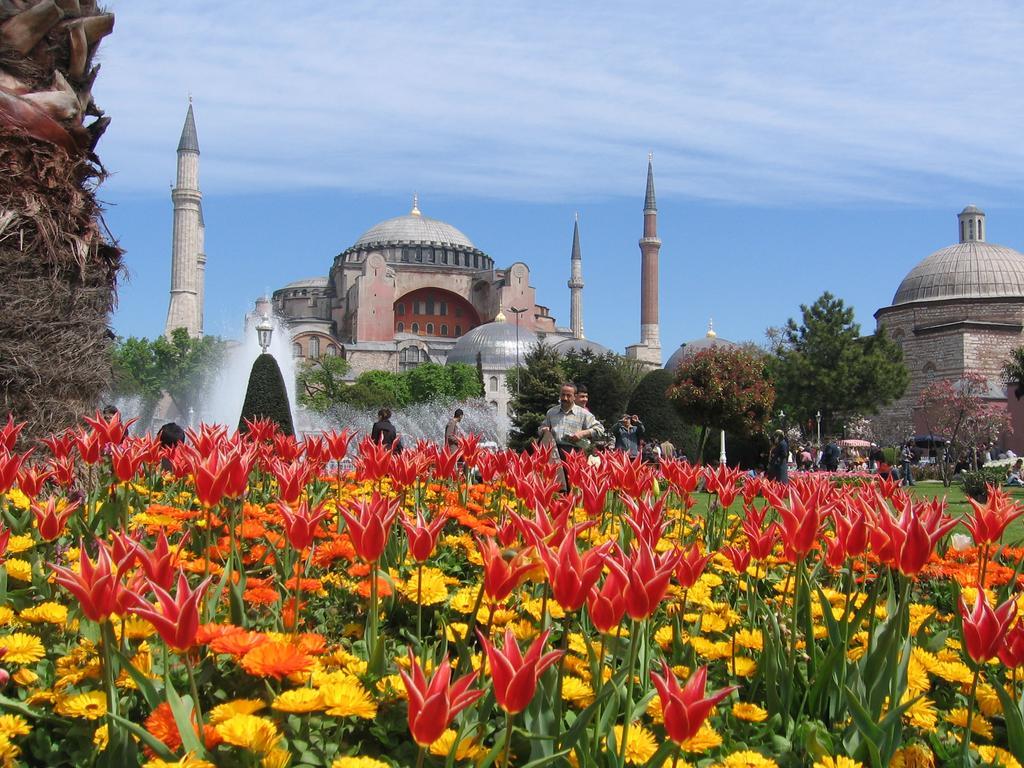 Erenler Hotel & Hostel 2*