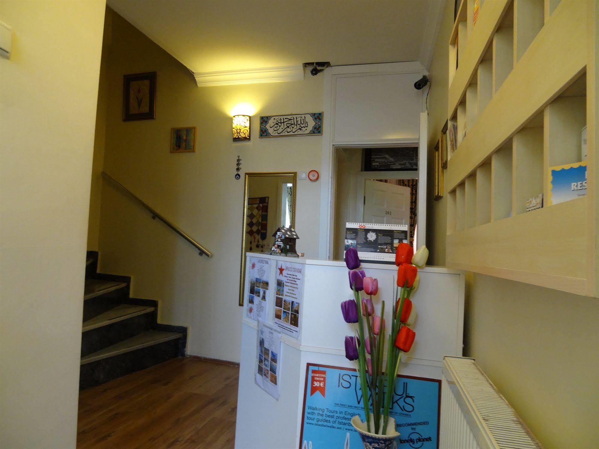 Guest house Tulip