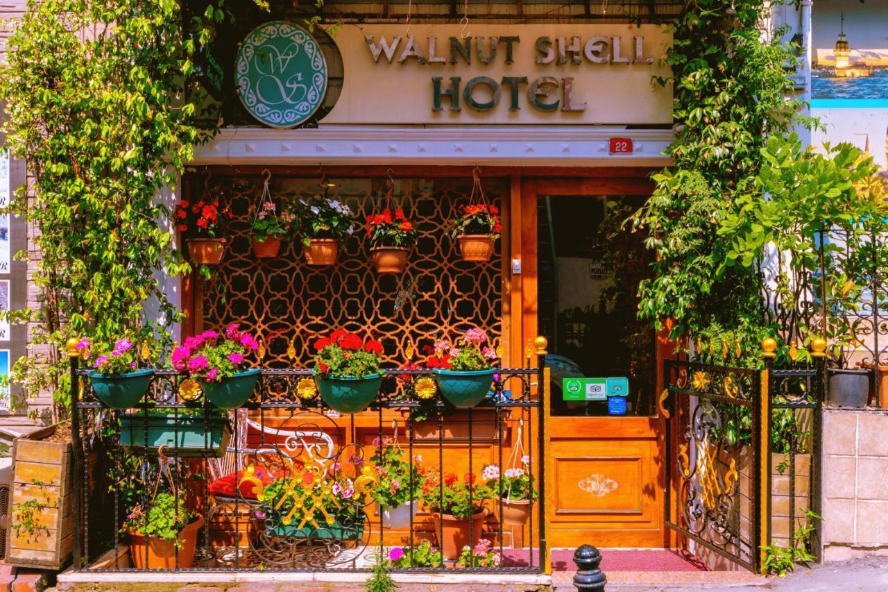 Walnut Shell Sultanahmet Istanbul