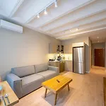 Historic Apartment In Galata Kuledibi