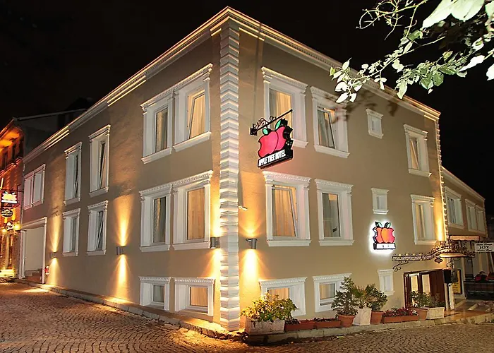 Apple Tree Hotel