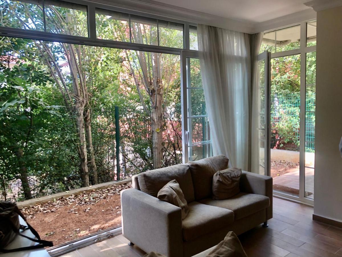 Lovely Escape House In A Frame With Garden