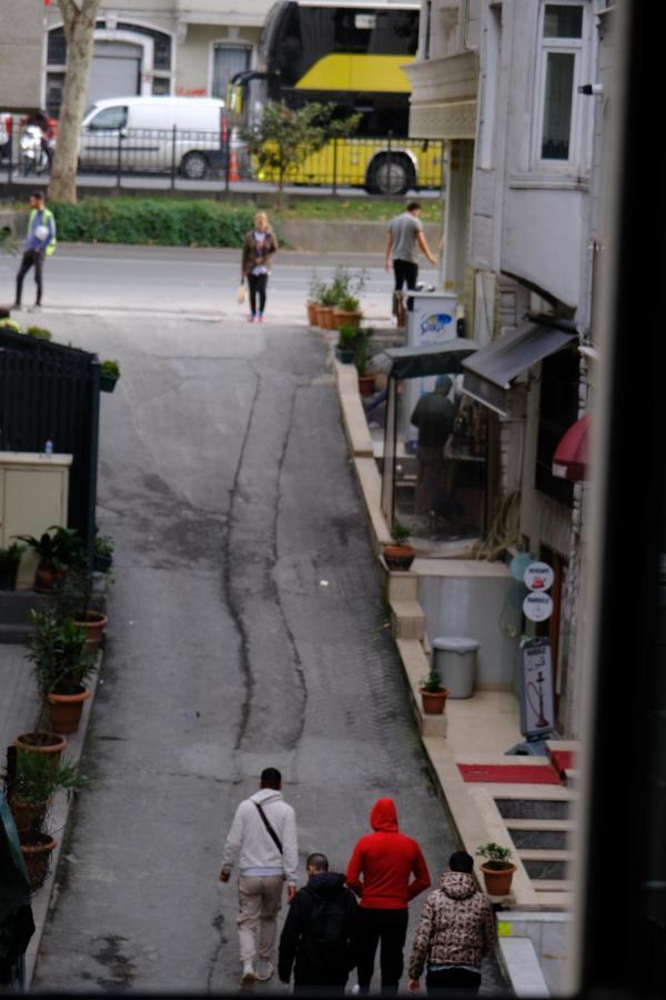 Cactus * Istanbul