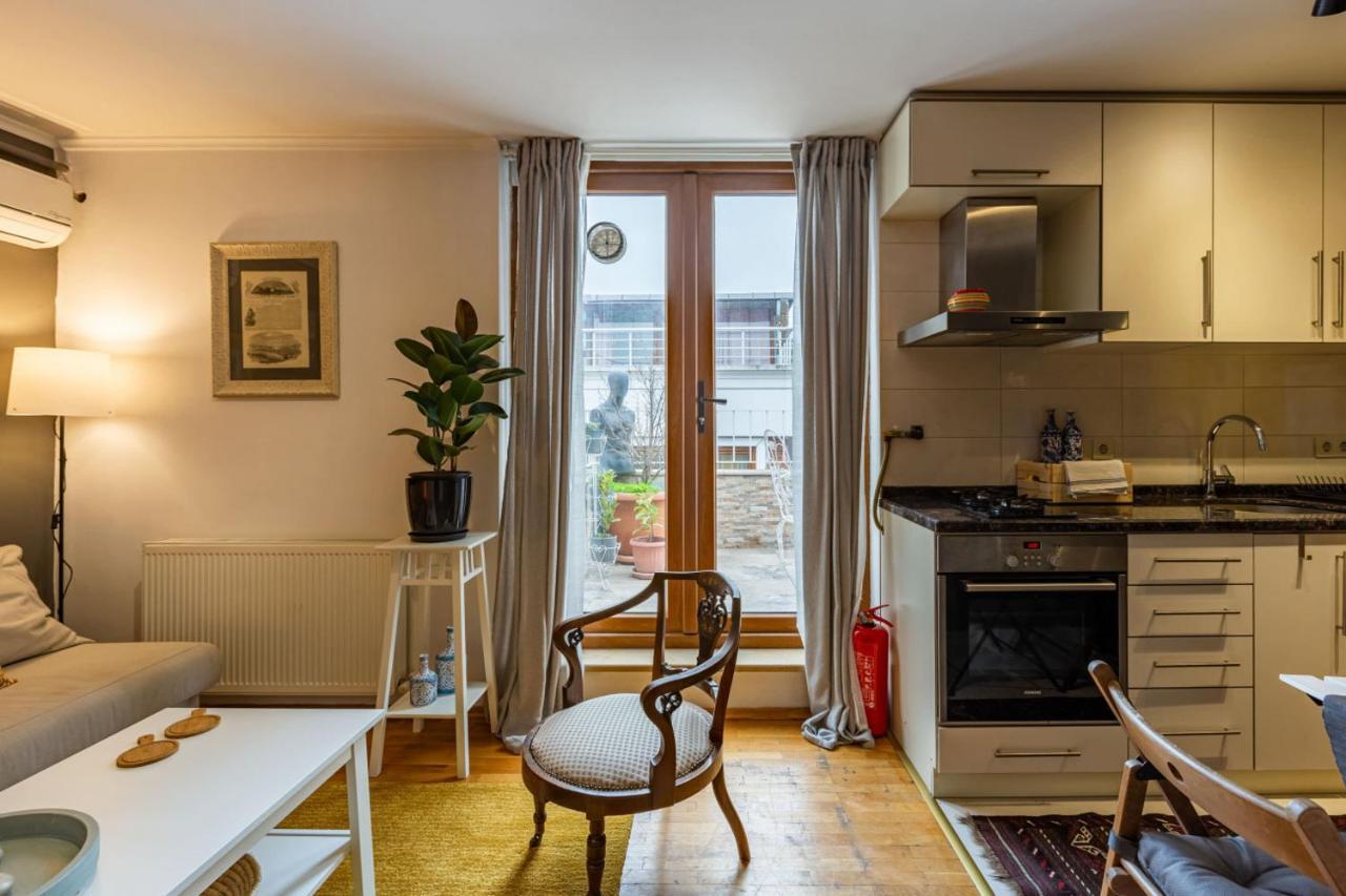 Superb Flat With View And Terrace In Beyoglu Istanbul
