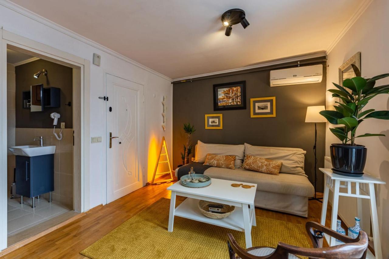 Superb Flat With View And Terrace In Beyoglu *