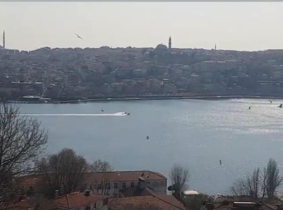 Deniz Manzarasi, Marti Sesleri Esliginde * Istanbul