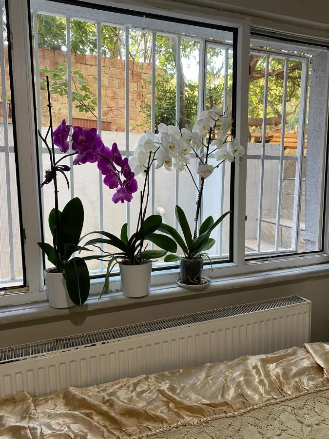 Demirtas Palace Apartment *