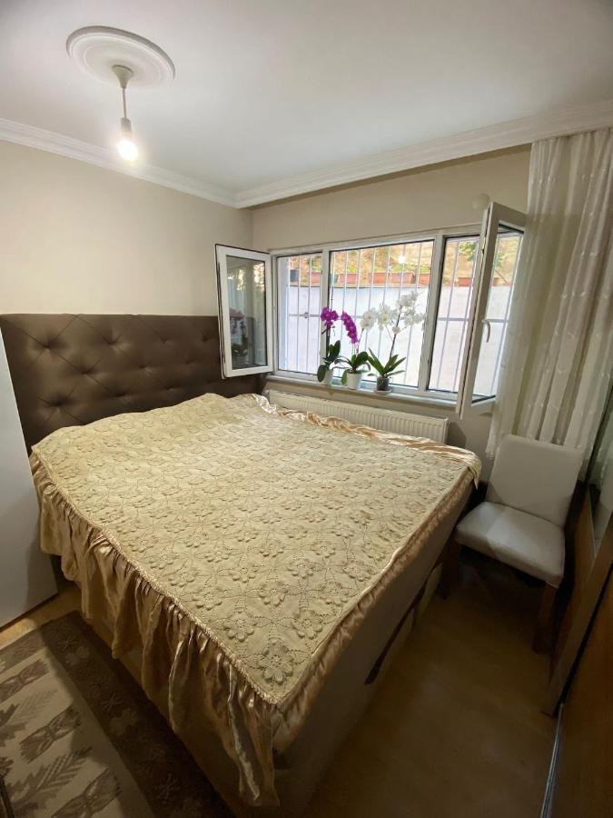 Demirtas Palace Apartment