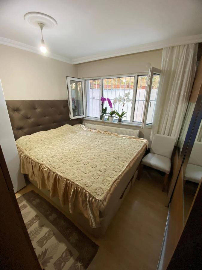 Apartment Demirtas Palace