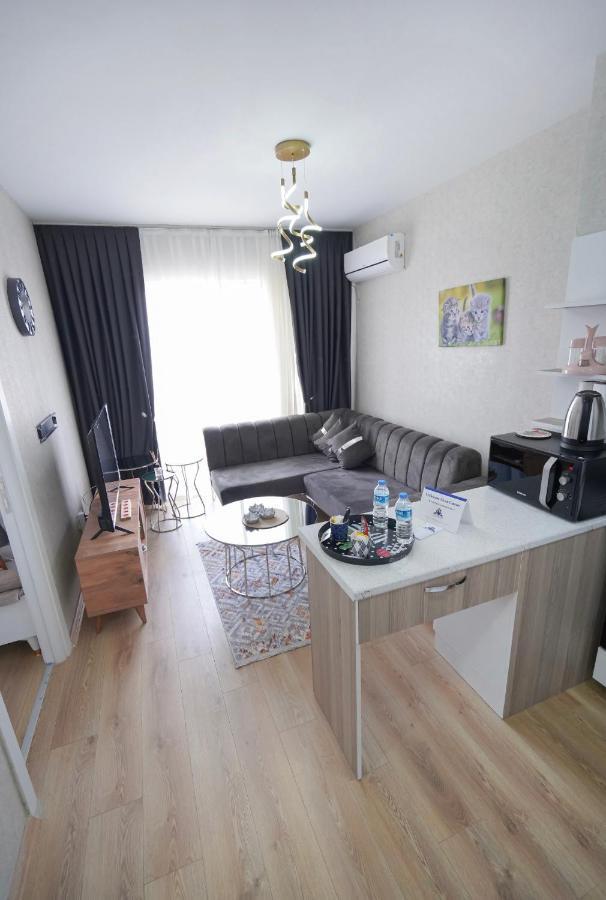 Classic Ts23 Apartment Istanbul