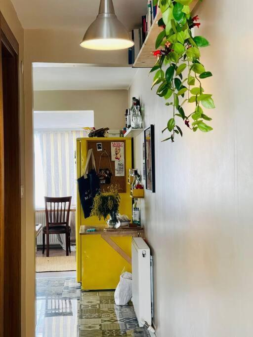 Terrace Flat In The Kadikoy Center