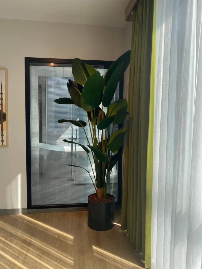 Honey Moon15 Apartment *