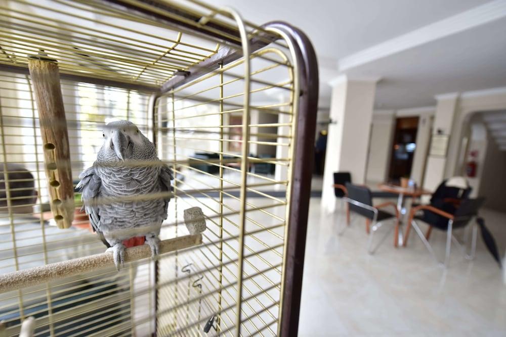 Hotel Topkapi