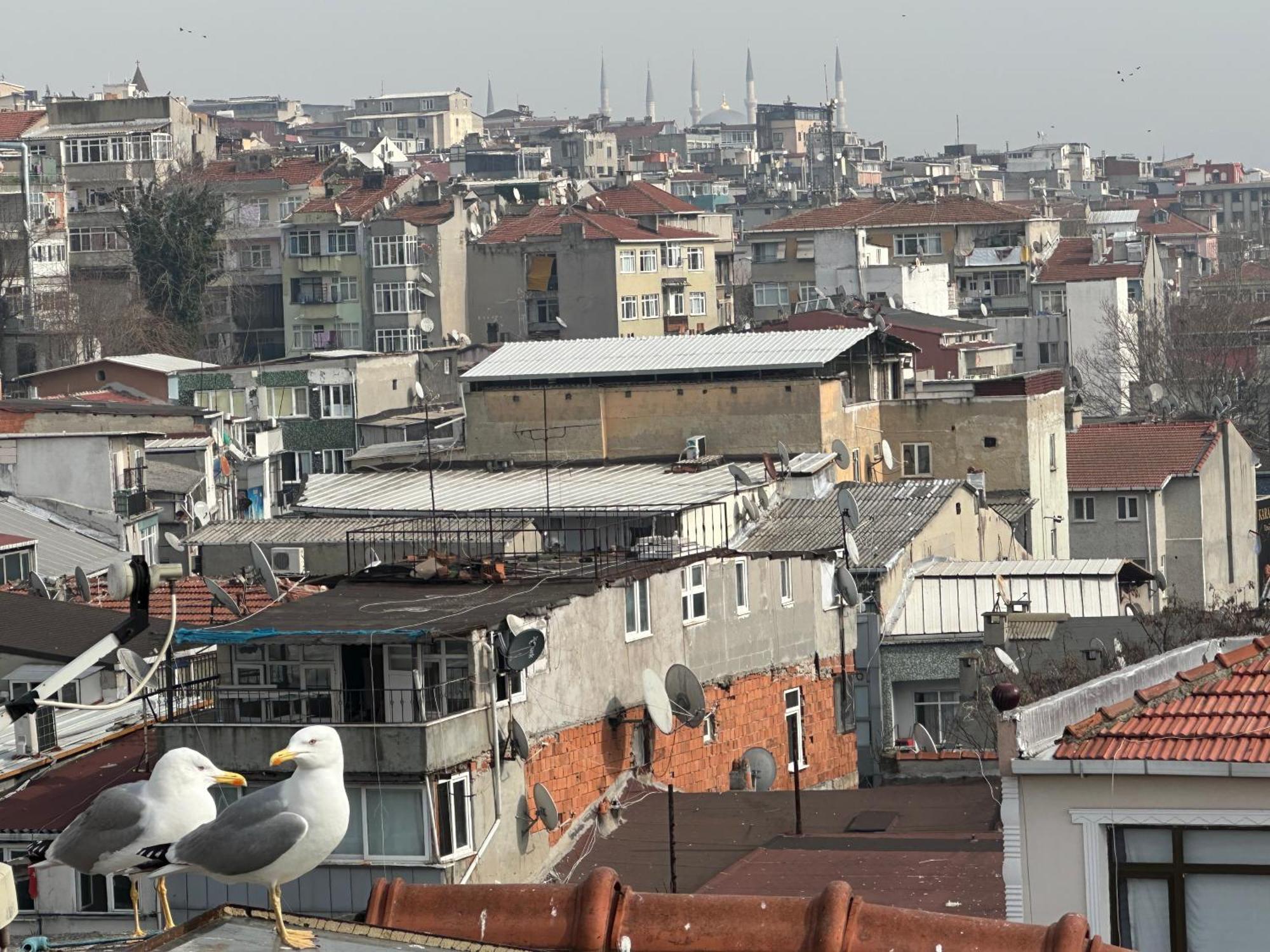 Fatih Merkezi Lokasyon Guzel Teras Manzarasi * Istambul
