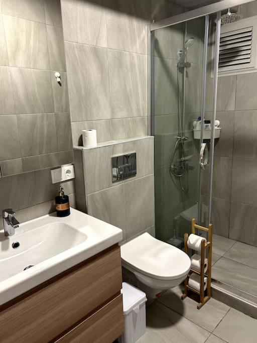 Meet Your Oasis Apartment